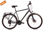 Bergon DB CUES
