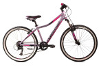 Ragusa VB 1x8