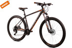 Halcyon 29 DB CUES