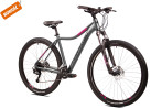 Sowelo 29 DB CUES