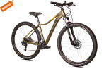 Sowelo 29 DB CUES