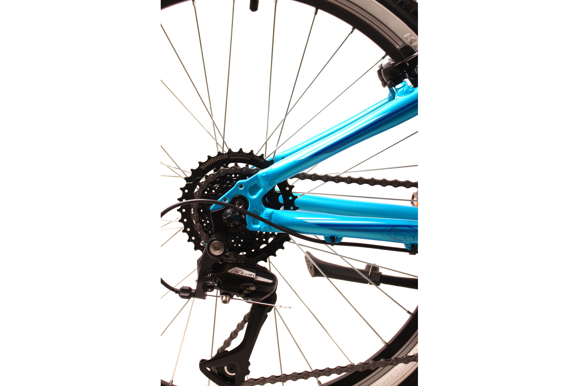 Raido24 1x8