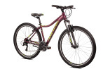 Sowelo 29 VB + gratis