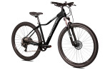 Sowelo 29 DB ESSA 1x8